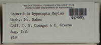 Image Associated With the Occurence
